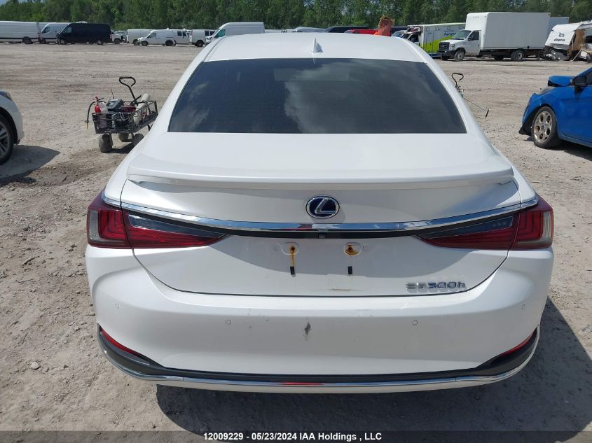 2019 Lexus Es 300H VIN: JTHB21B15K2006834 Lot: 12009229