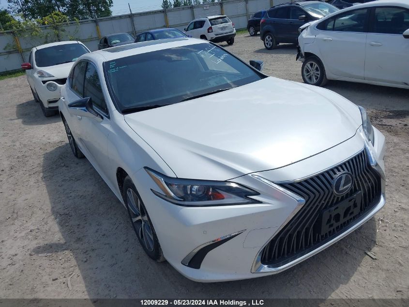 2019 Lexus Es 300H VIN: JTHB21B15K2006834 Lot: 12009229