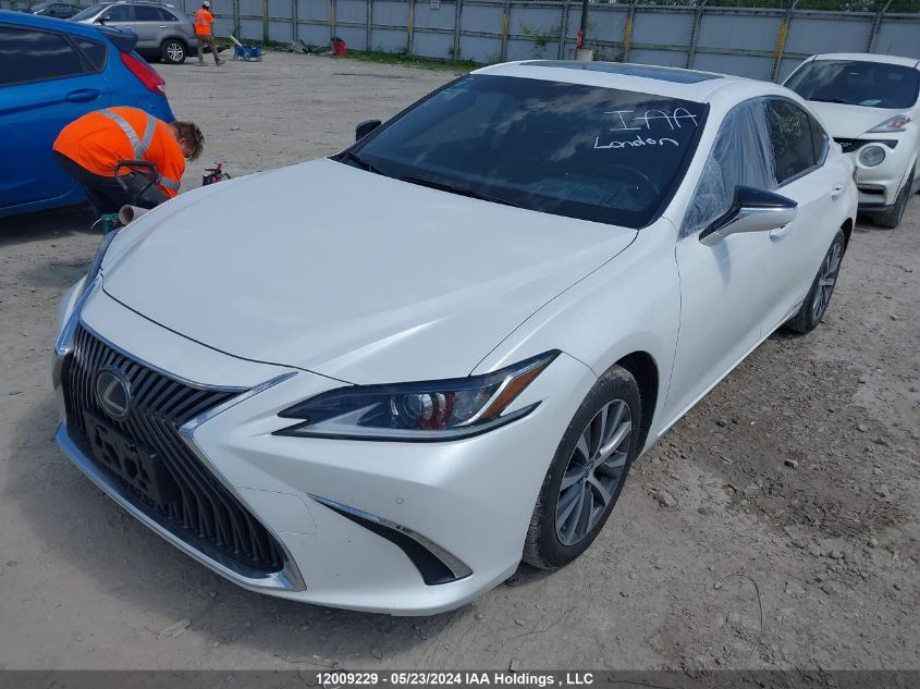 2019 Lexus Es 300H VIN: JTHB21B15K2006834 Lot: 12009229