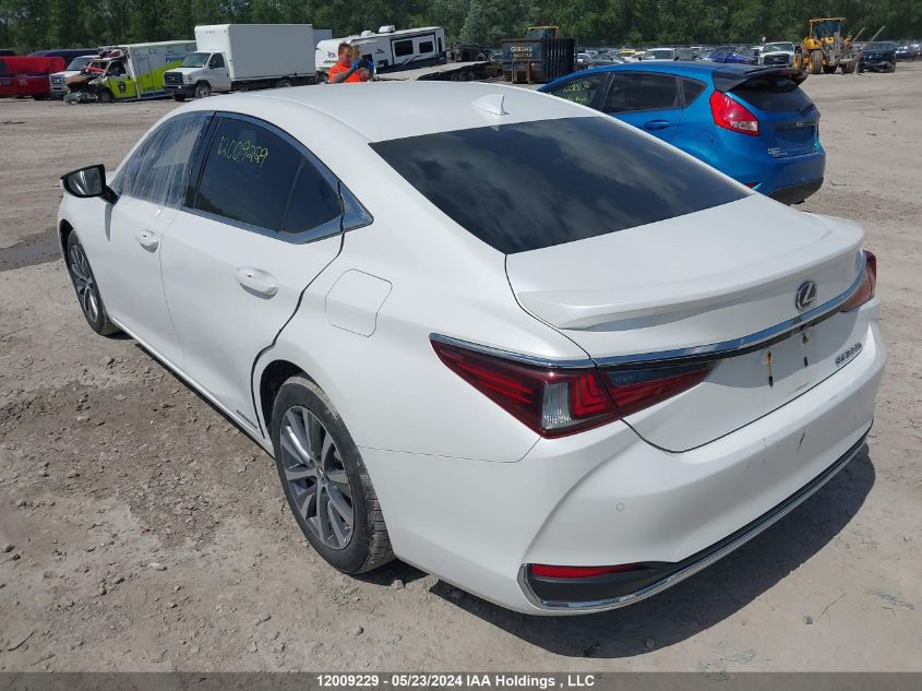 2019 Lexus Es 300H VIN: JTHB21B15K2006834 Lot: 12009229