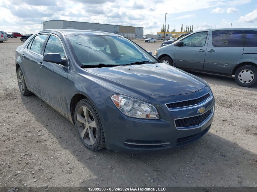 2009 Chevrolet Malibu VIN: 1G1ZJ57B394256219 Lot: 12009258