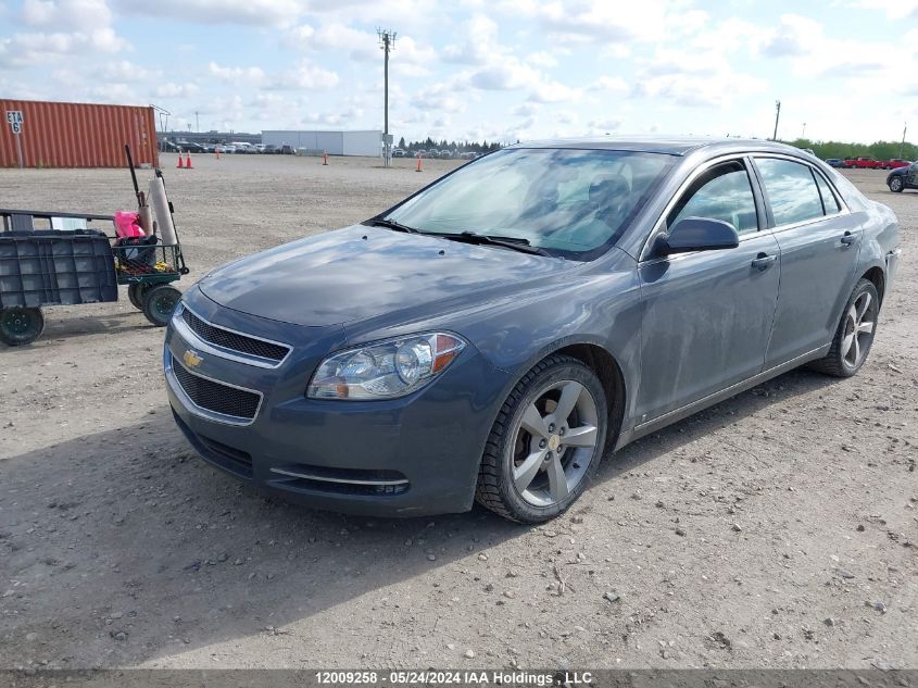 2009 Chevrolet Malibu VIN: 1G1ZJ57B394256219 Lot: 12009258