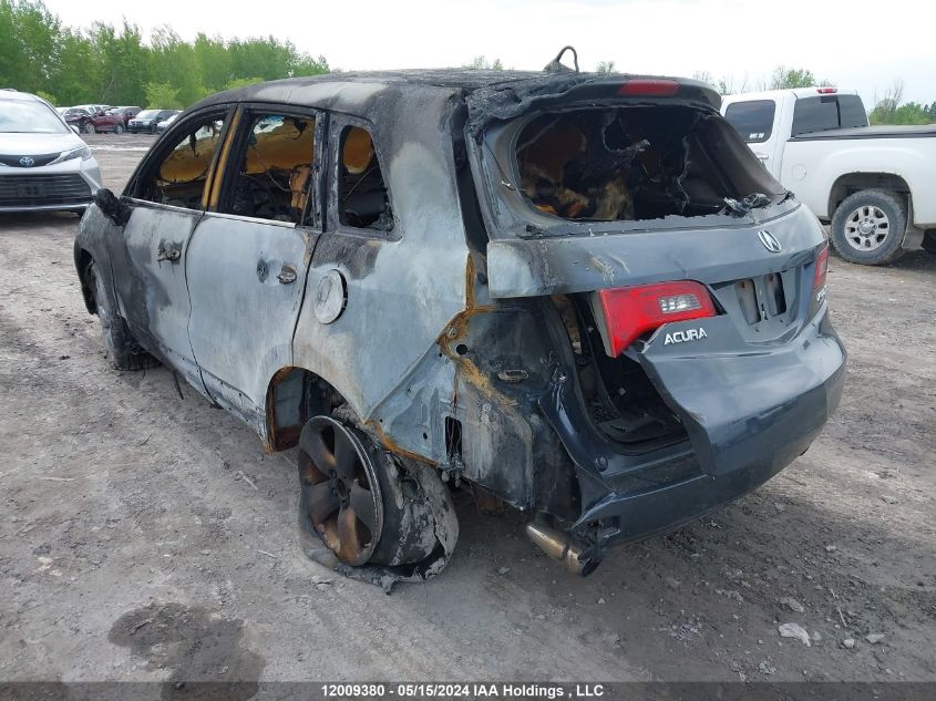 2007 Acura Rdx VIN: 5J8TB18547A802750 Lot: 12009380