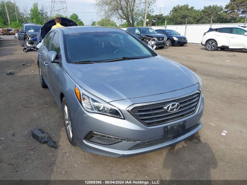 2017 Hyundai Sonata VIN: 5NPE24AF9HH443126 Lot: 12009395