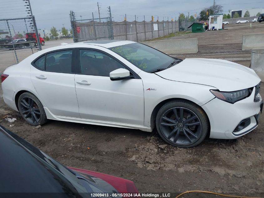 2020 Acura Tlx VIN: 19UUB1F64LA800829 Lot: 12009413