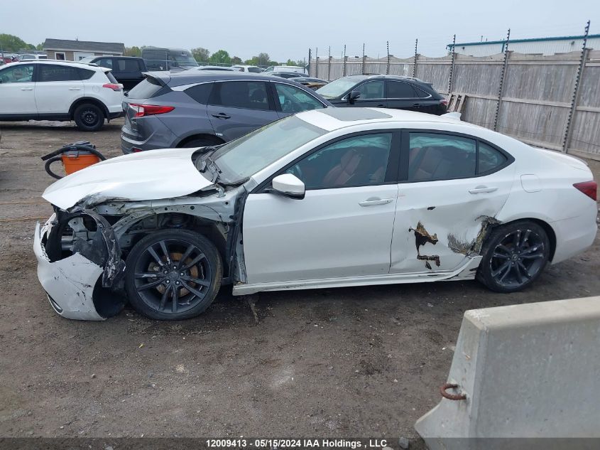 2020 Acura Tlx VIN: 19UUB1F64LA800829 Lot: 12009413