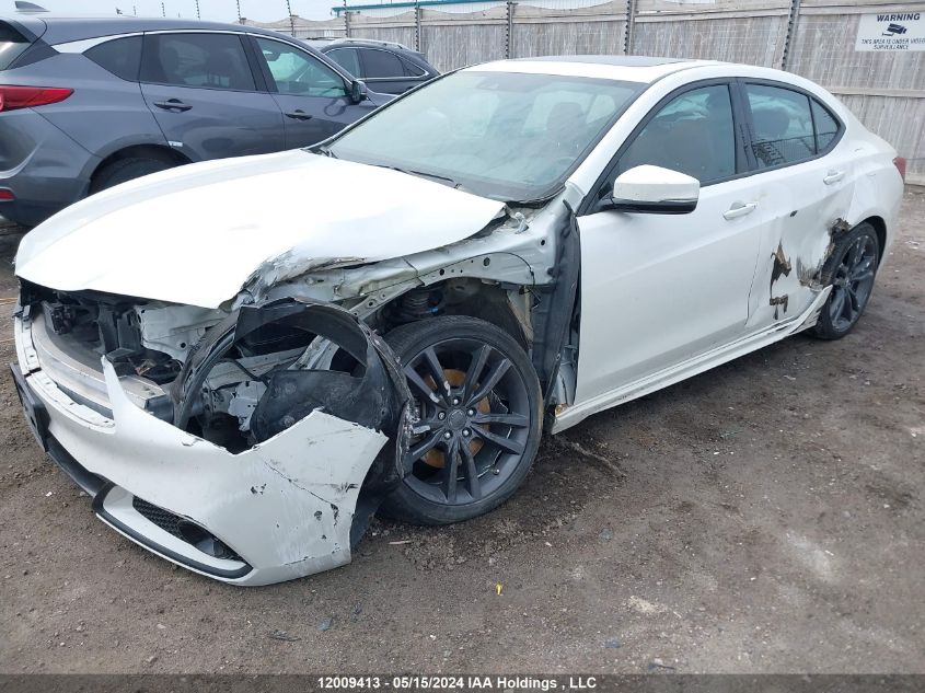 2020 Acura Tlx VIN: 19UUB1F64LA800829 Lot: 12009413