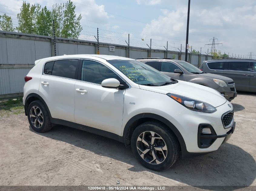 2022 Kia Sportage VIN: KNDPMCAC1N7013593 Lot: 12009418