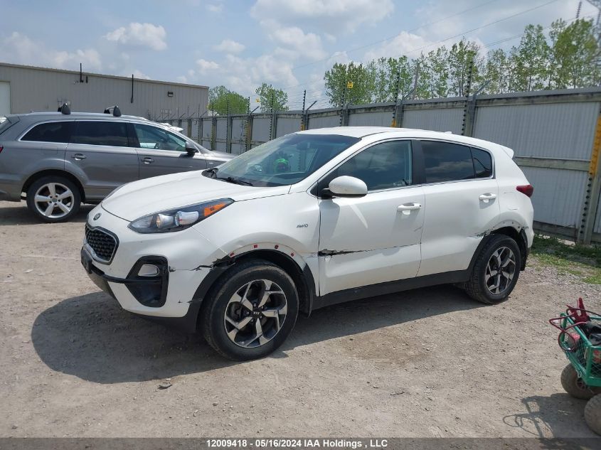 2022 Kia Sportage VIN: KNDPMCAC1N7013593 Lot: 12009418