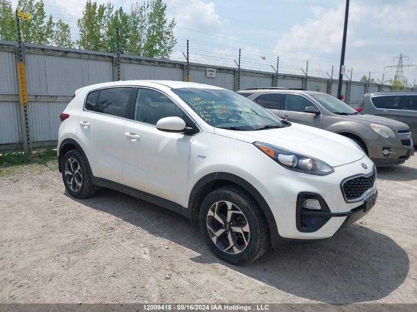 2022 Kia Sportage VIN: KNDPMCAC1N7013593 Lot: 12009418