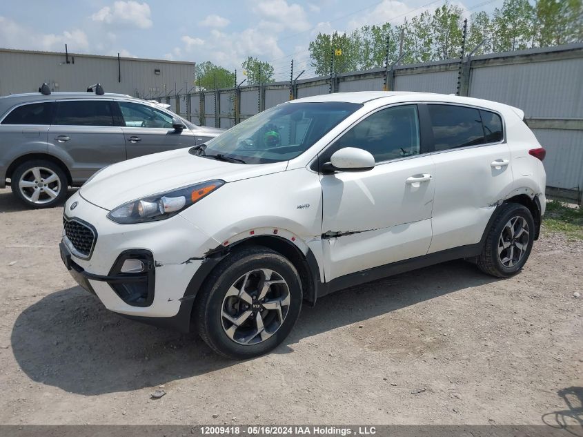 2022 Kia Sportage VIN: KNDPMCAC1N7013593 Lot: 12009418