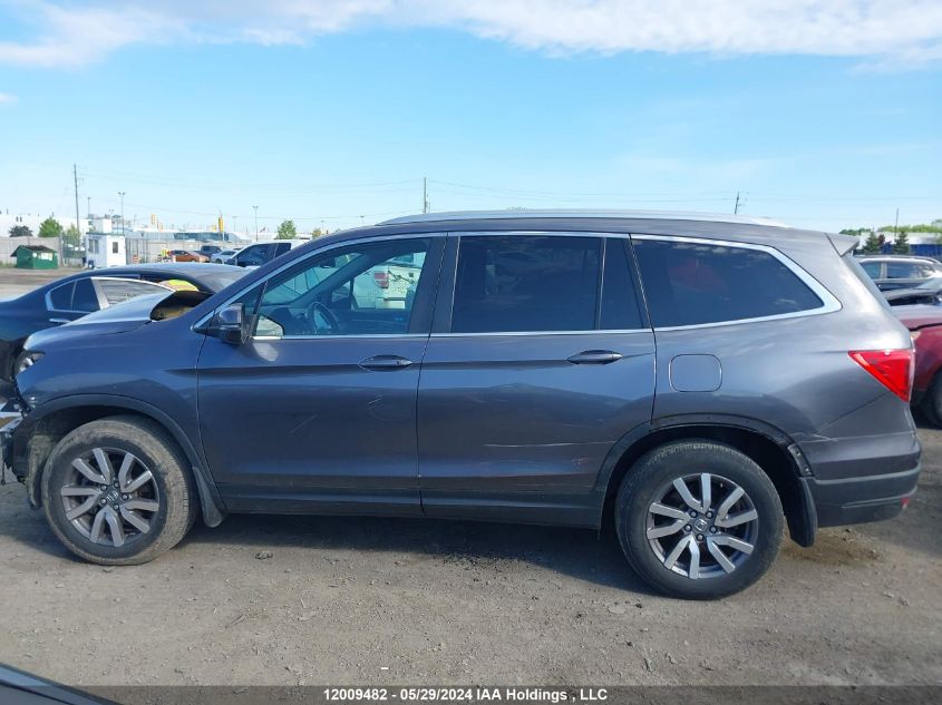 2019 Honda Pilot VIN: 5FNYF6H38KB508286 Lot: 12009482