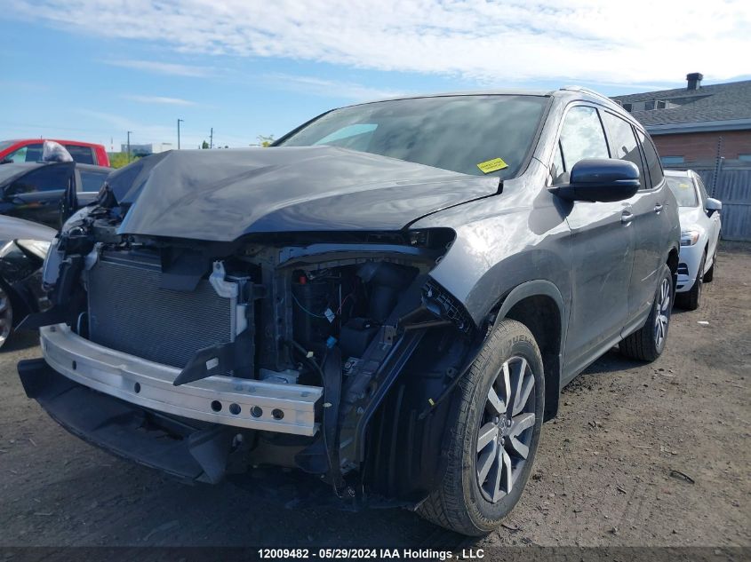 2019 Honda Pilot VIN: 5FNYF6H38KB508286 Lot: 12009482