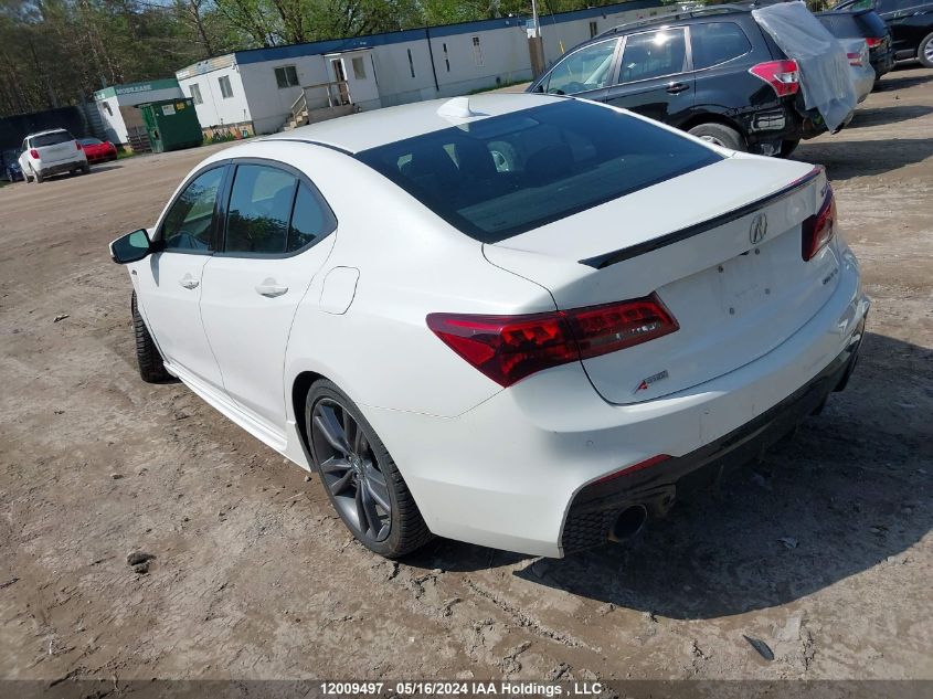 2019 Acura Tlx Advance VIN: 19UUB3F84KA800308 Lot: 12009497