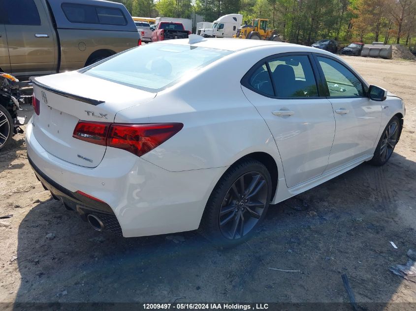 2019 Acura Tlx Advance VIN: 19UUB3F84KA800308 Lot: 12009497