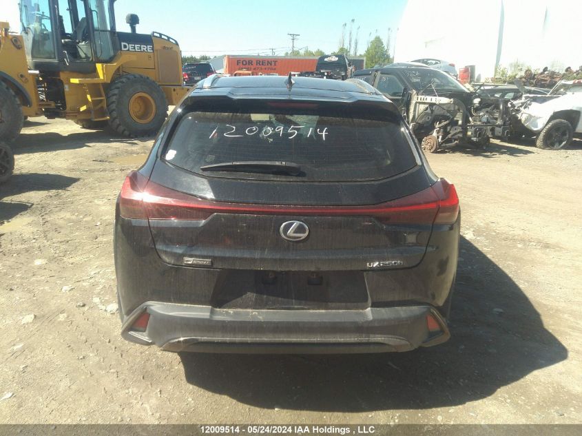 2021 Lexus Ux 250H VIN: JTHR9JBH3M2039065 Lot: 12009514