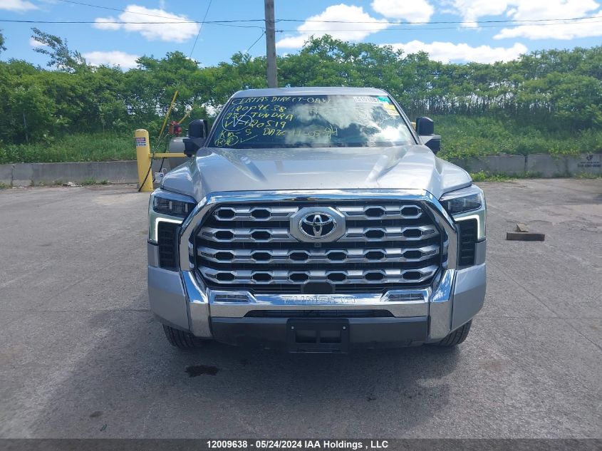 2023 Toyota Tundra Platinum VIN: 5TFMA5DB2PX120519 Lot: 12009638