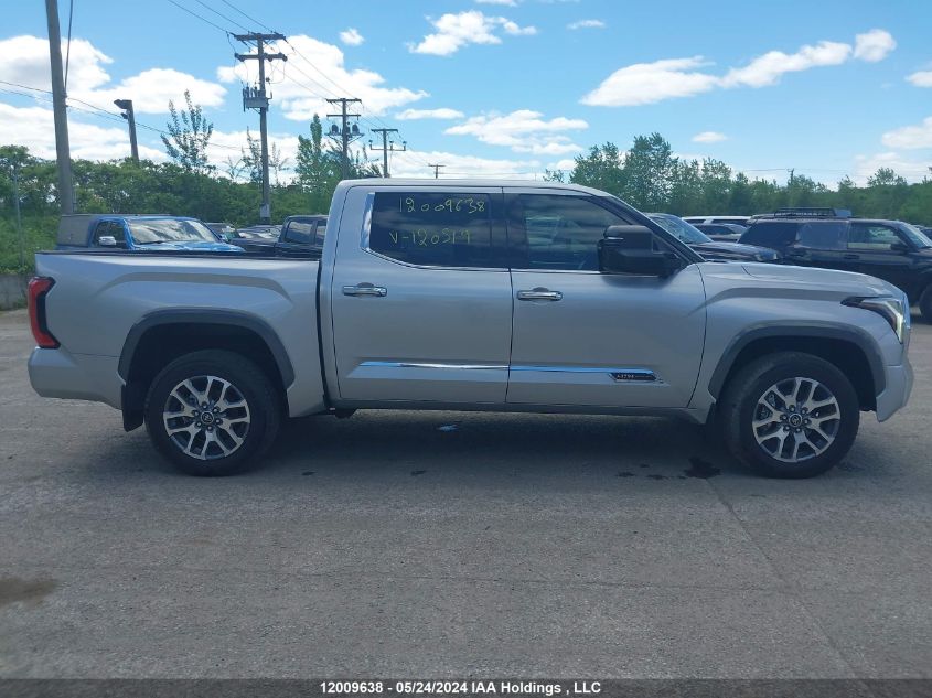 2023 Toyota Tundra Platinum VIN: 5TFMA5DB2PX120519 Lot: 12009638