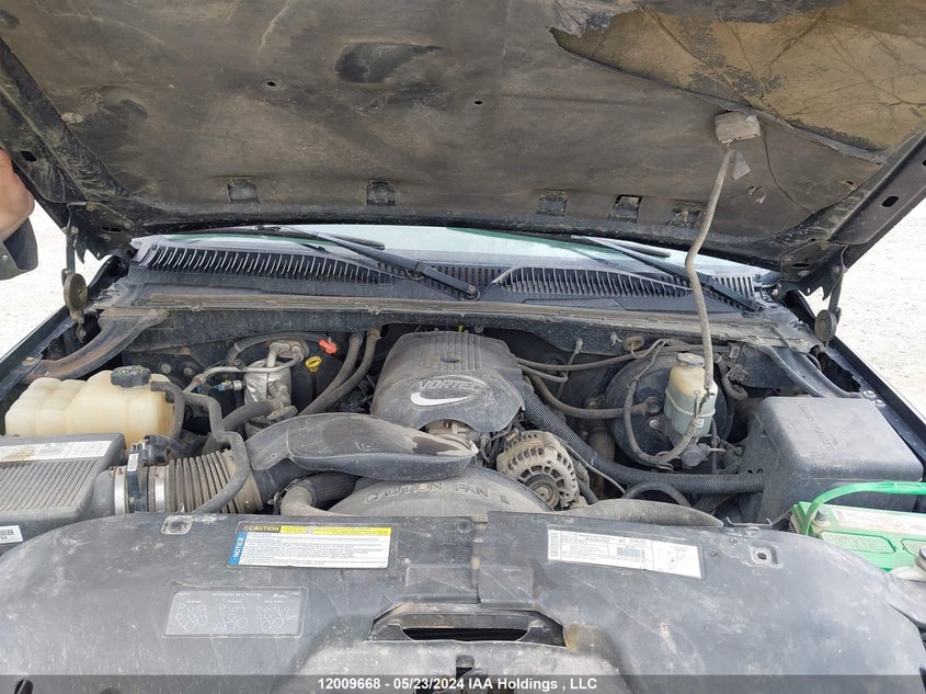 2001 Chevrolet Silverado 1500 VIN: 2GCEK19T411196372 Lot: 12009668