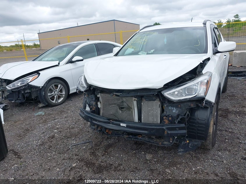 2016 Hyundai Santa Fe Sport 2.0T Premium VIN: 5XYZUDLA1GG307303 Lot: 12009722