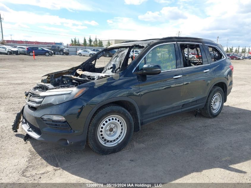 2016 Honda Pilot VIN: 5FNYF6H91GB505984 Lot: 12009778