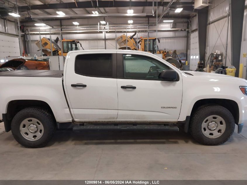 2019 Chevrolet Colorado VIN: 1GCGTBEN8K1102794 Lot: 12009814