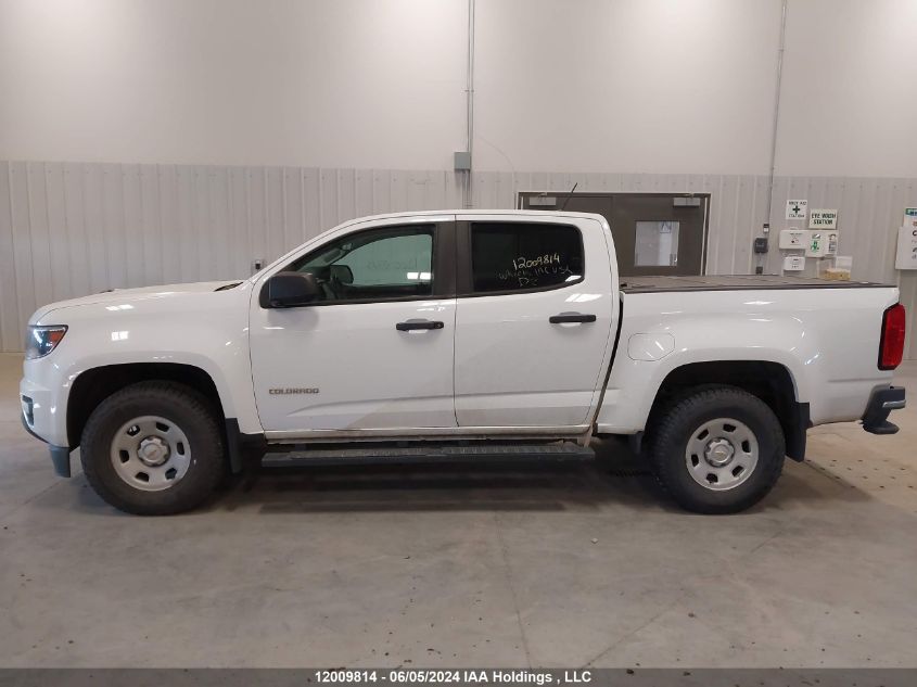 2019 Chevrolet Colorado VIN: 1GCGTBEN8K1102794 Lot: 12009814