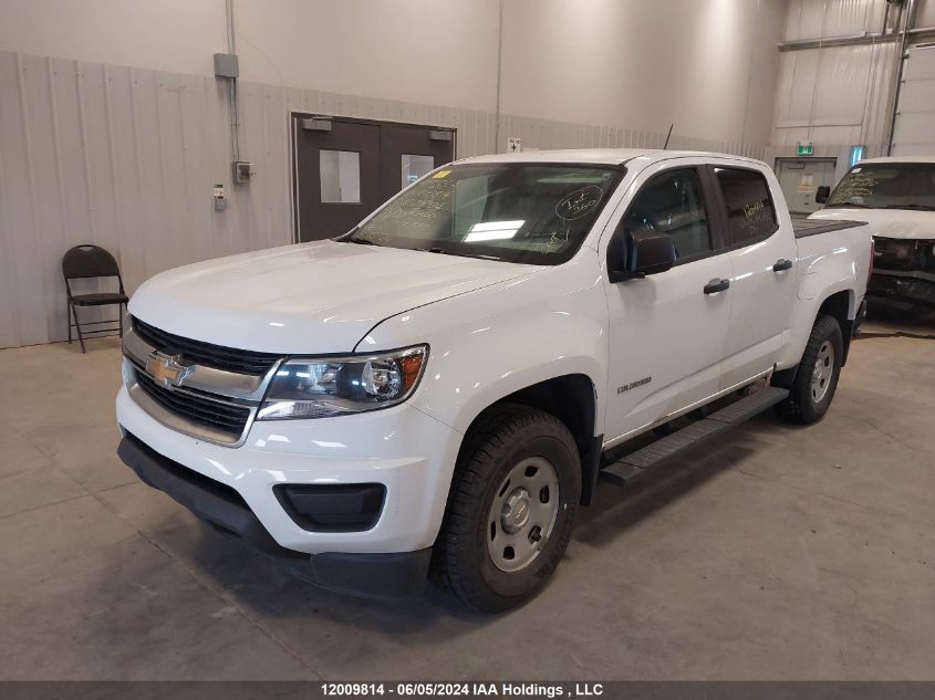 2019 Chevrolet Colorado VIN: 1GCGTBEN8K1102794 Lot: 12009814