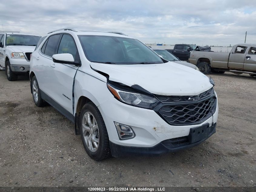 2019 Chevrolet Equinox VIN: 2GNAXVEX7K6169565 Lot: 12009823