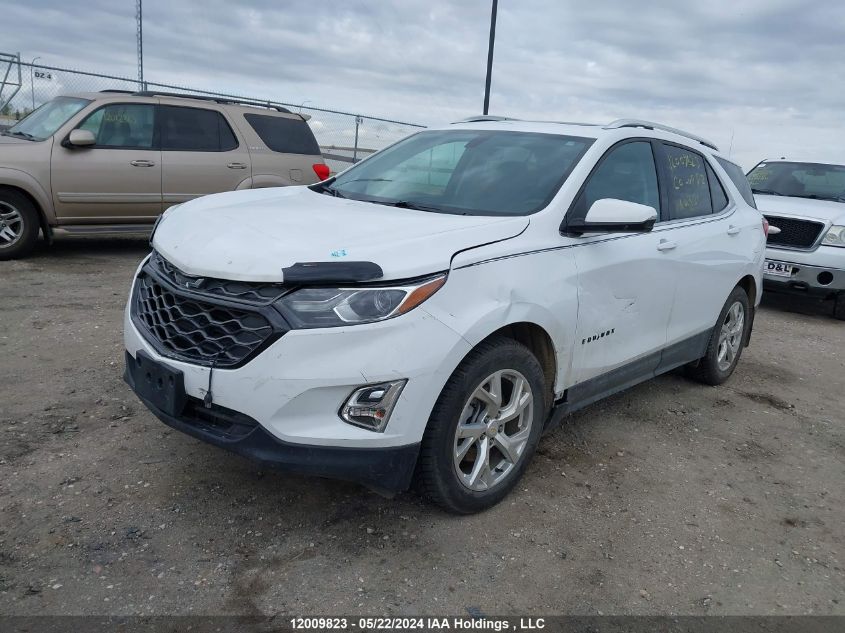 2019 Chevrolet Equinox VIN: 2GNAXVEX7K6169565 Lot: 12009823