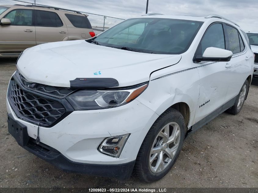 2019 Chevrolet Equinox VIN: 2GNAXVEX7K6169565 Lot: 12009823