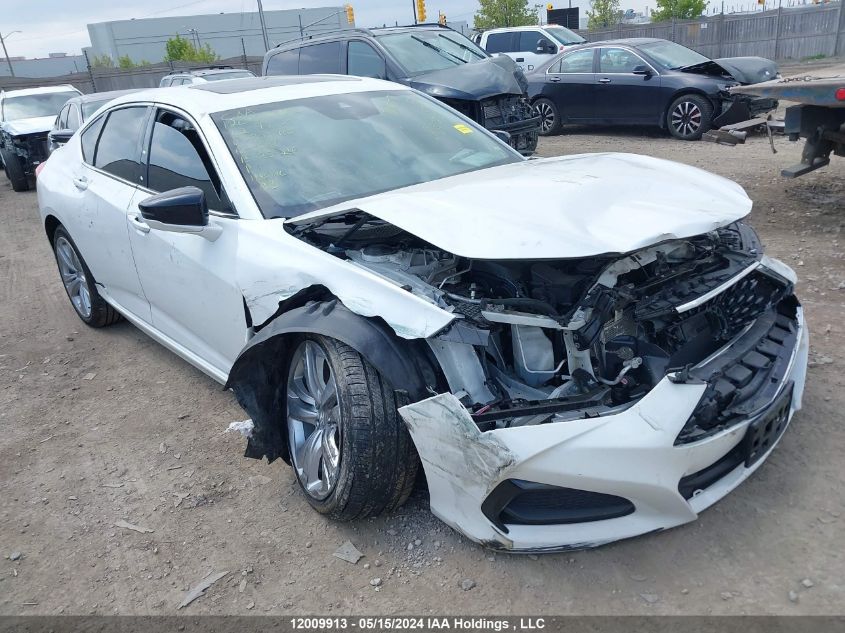 2022 Acura Tlx Technology VIN: 19UUB6F40NA800910 Lot: 12009913