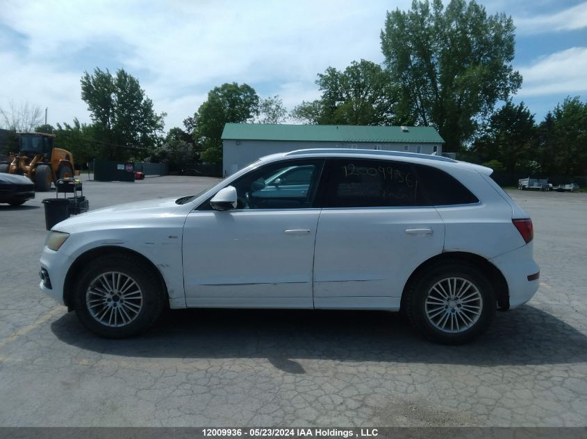 2011 Audi Q5 VIN: WA1MKCFP7BA023879 Lot: 12009936