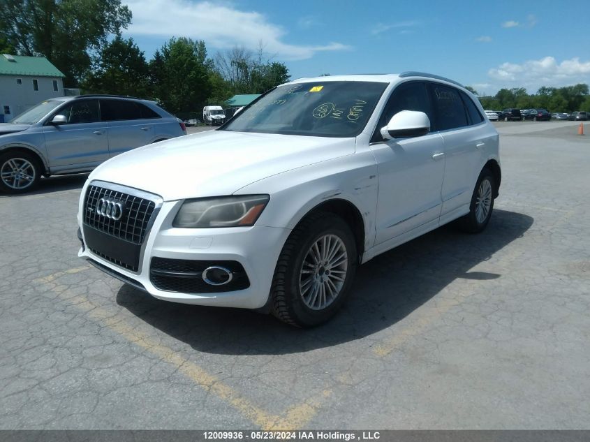 2011 Audi Q5 VIN: WA1MKCFP7BA023879 Lot: 12009936