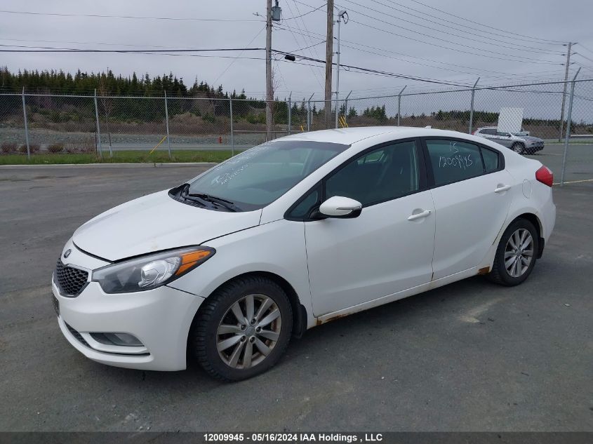 2015 Kia Forte VIN: KNAFX4A63F5423714 Lot: 12009945