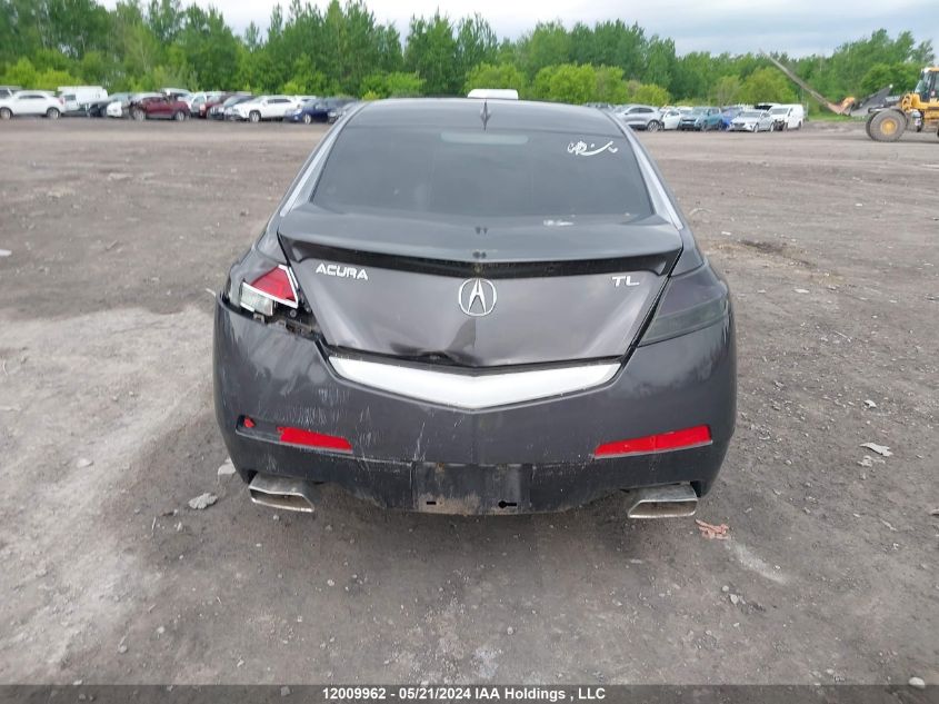 2010 Acura Tl VIN: 19UUA8F59AA801040 Lot: 12009962