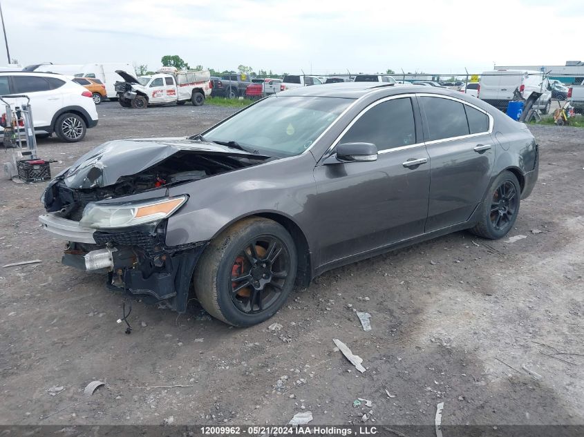 2010 Acura Tl VIN: 19UUA8F59AA801040 Lot: 12009962