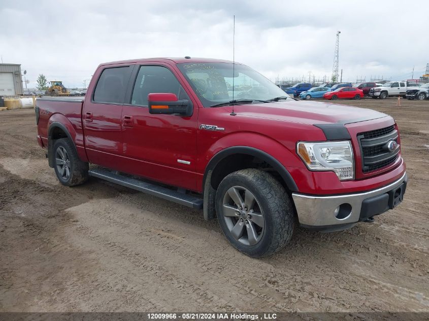 2014 Ford F150 Supercrew VIN: 1FTFW1ET7EKF83907 Lot: 12009966