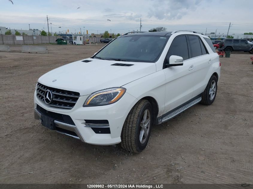 2014 Mercedes-Benz Ml-Class VIN: 4JGDA2EB1EA382380 Lot: 12009982