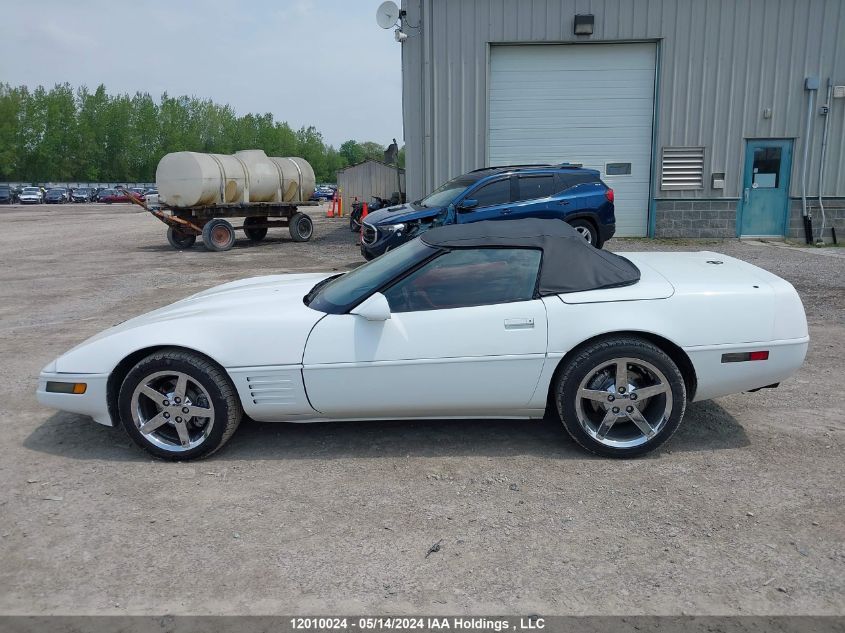 1991 Chevrolet Corvette VIN: 1G1YY338XM5107184 Lot: 12010024