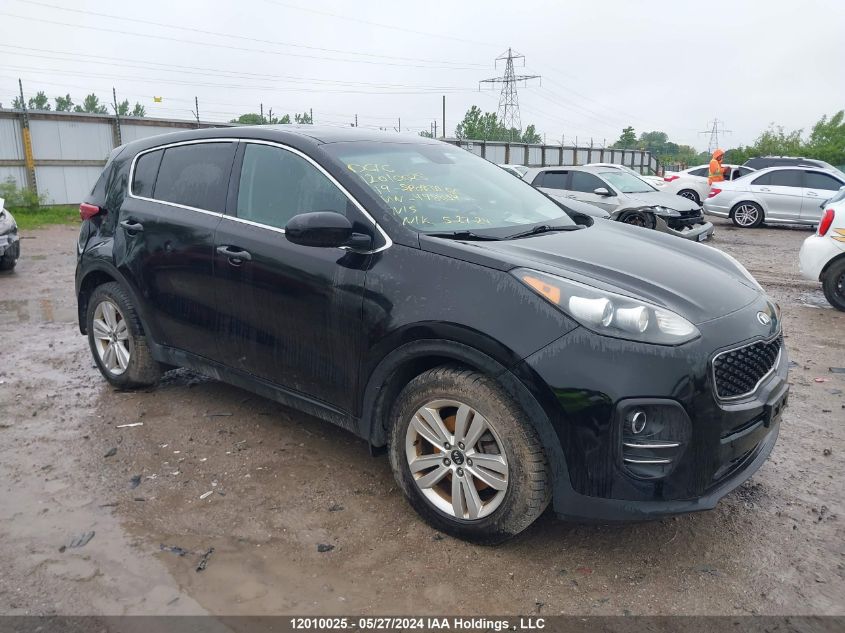 2019 Kia Sportage Lx VIN: KNDPM3AC6K7498034 Lot: 12010025