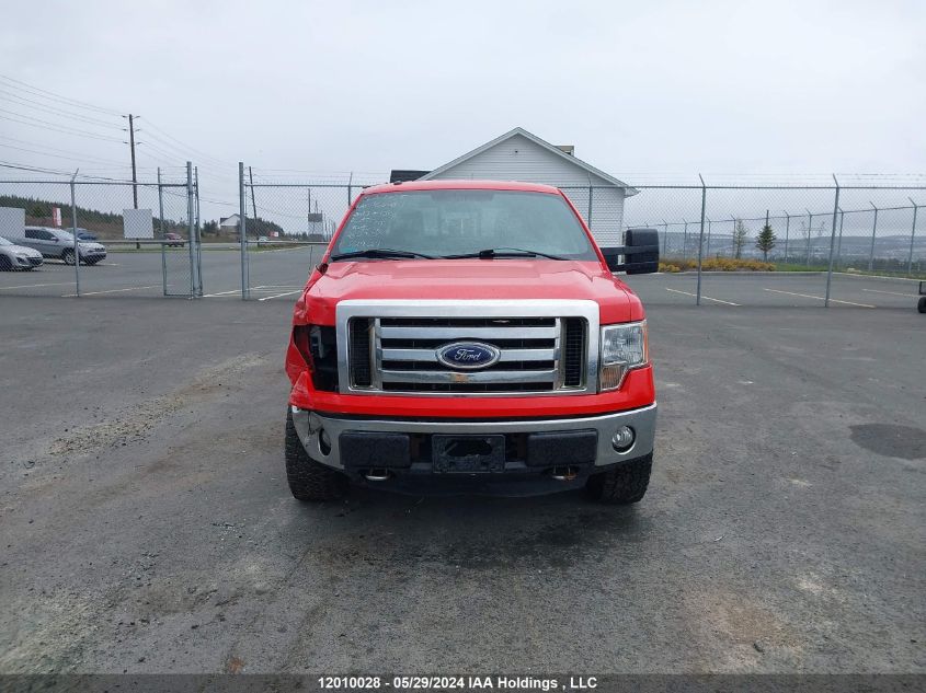 2013 Ford F-150 Xlt VIN: 1FTFW1EF7DFA76300 Lot: 12010028