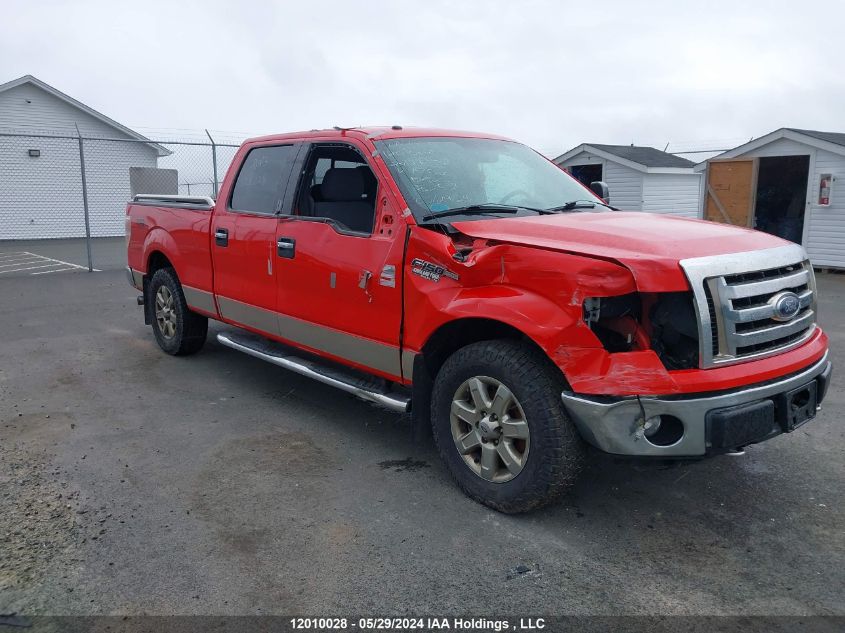 2013 Ford F-150 Xlt VIN: 1FTFW1EF7DFA76300 Lot: 12010028