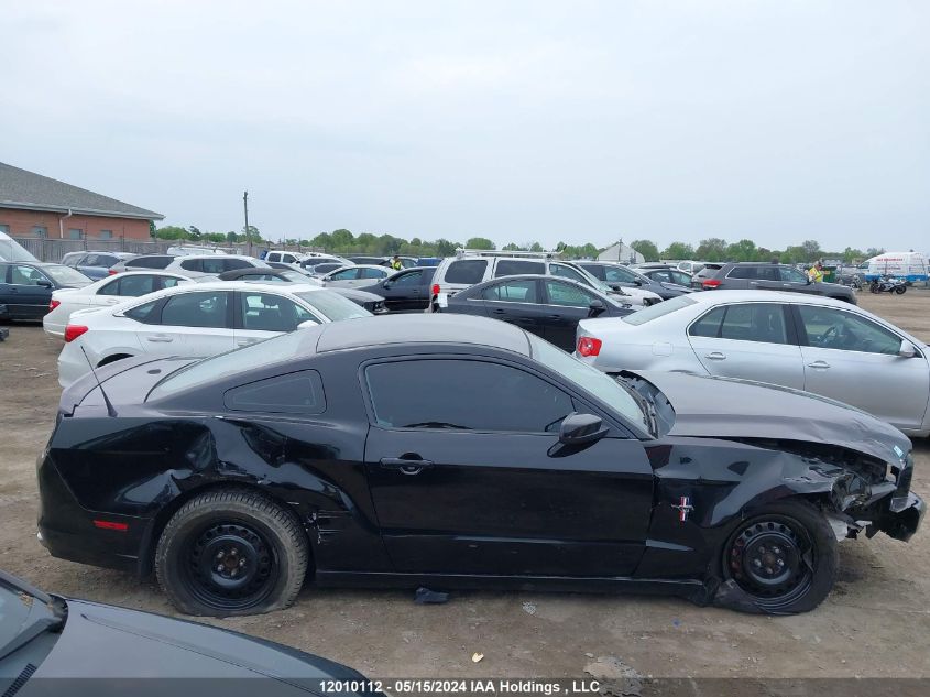 2013 Ford Mustang VIN: 1ZVBP8AM8D5212235 Lot: 12010112