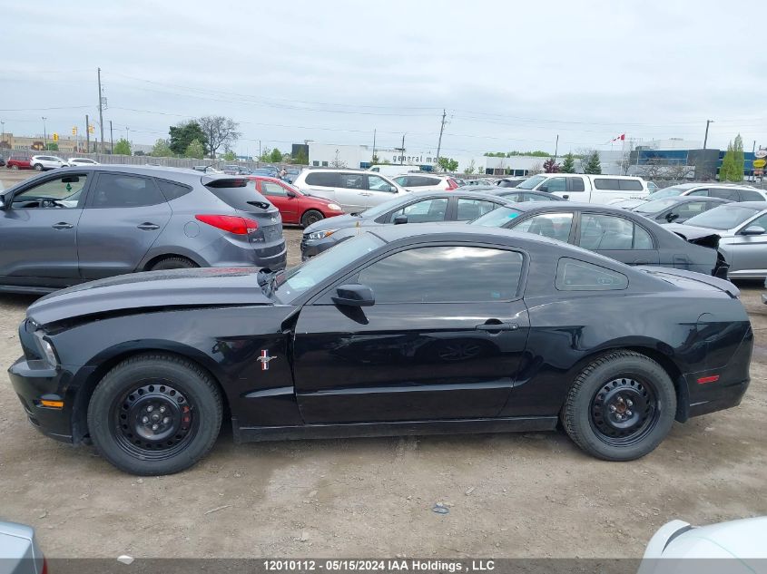 2013 Ford Mustang VIN: 1ZVBP8AM8D5212235 Lot: 12010112