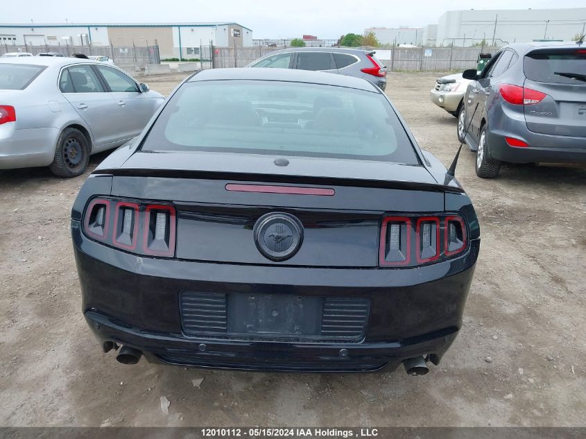 2013 Ford Mustang VIN: 1ZVBP8AM8D5212235 Lot: 12010112