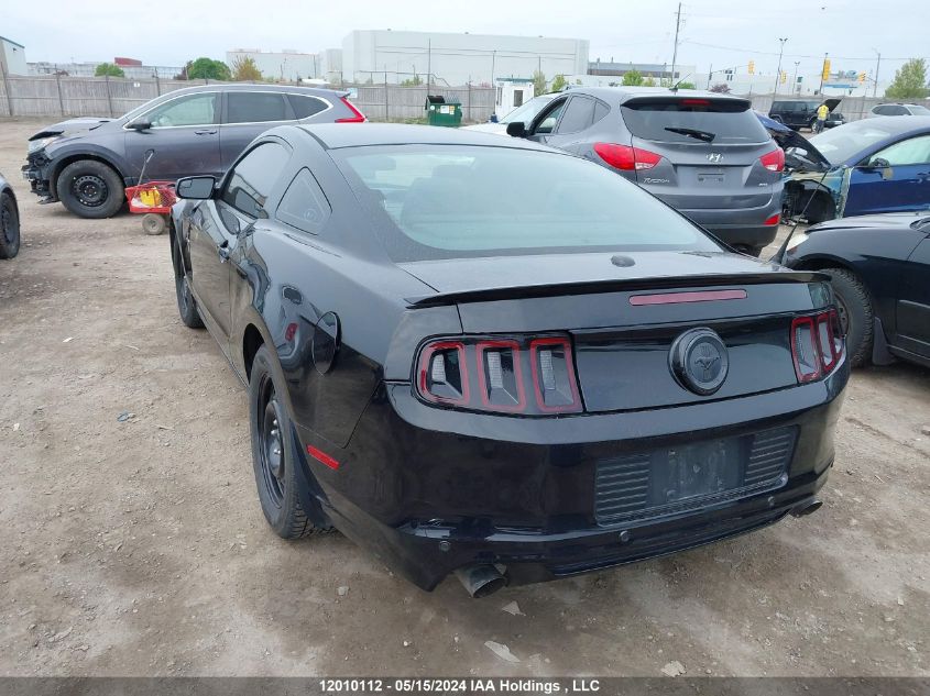 2013 Ford Mustang VIN: 1ZVBP8AM8D5212235 Lot: 12010112