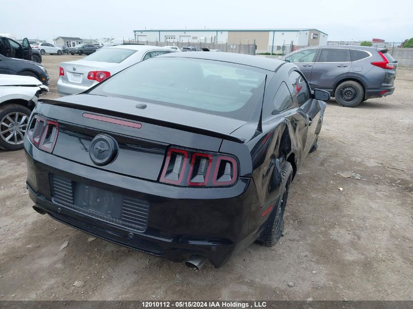 2013 Ford Mustang VIN: 1ZVBP8AM8D5212235 Lot: 12010112