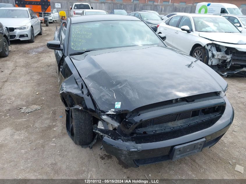 2013 Ford Mustang VIN: 1ZVBP8AM8D5212235 Lot: 12010112