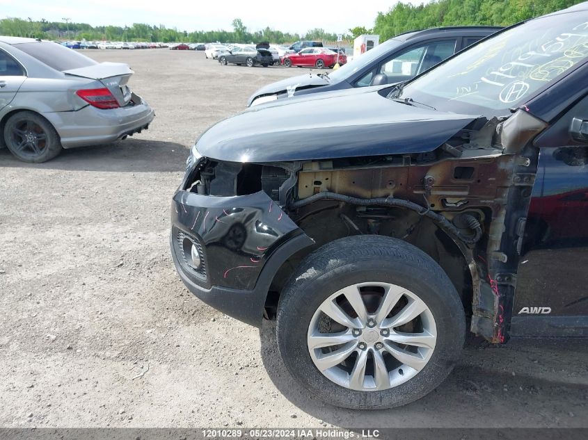 2013 Kia Sorento VIN: 5XYKUDA22DG396243 Lot: 12010289